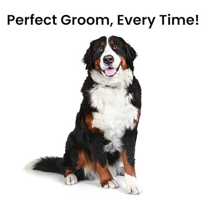 Fresh Ultra Wide XL Metal Pet Comb, Oval Aluminum Handle, Wide Tooth Spacing, Metal Grooming Comb for Dogs, 9.75"