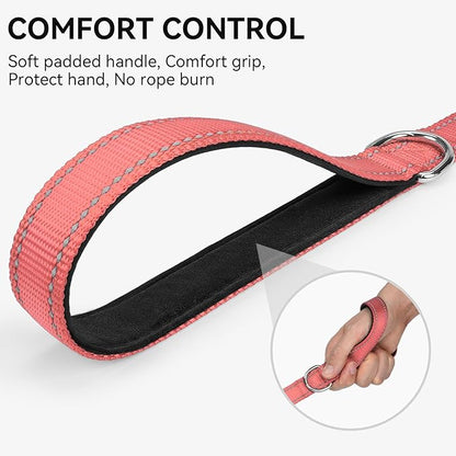 Joytale Dog Leash, 6 FT Double-Sided Reflective, Padded Handle Nylon Heavy Duty Leashes for Small Dogs Walking, Neon Pink