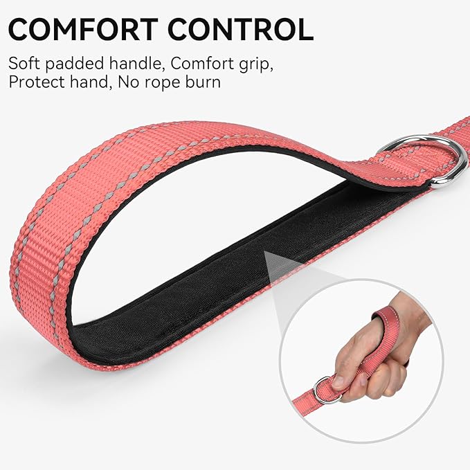 Joytale Dog Leash, 4 FT Double-Sided Reflective, Padded Handle Nylon Heavy Duty Leashes for Small Dogs Walking, Neon Pink
