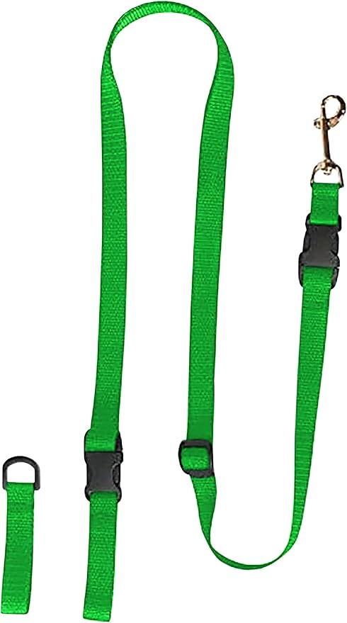 The Buddy System Extra a Buddy Small Green