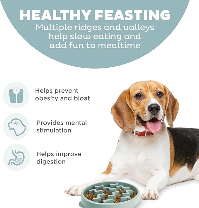 Outward Hound Medium Slow Feeder Bowl, Puzzle Maze for Fast Eaters, Small to Medium Dogs, Helps Prevent Bloat & Aid Digestion, Holds 2 Cups Wet or Dry Food, Non-Slip, Made Without BPA, Sage
