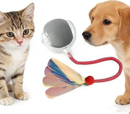 RightBliss Automatic Interactive Cat Dog Toy with Elastic Tail: Chirping Sound, Smart Obstacle Avoidance for Indoor Cats & Kittens(Feathered-Tail Gray Ball)