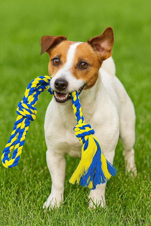 Dog Rope Toys for Medium and Large Dogs | Strong Cotton Rope Set for Chewing, Teething Comfort, Tug Play and Daily Interactive Activities | (2 pcs Dog Toys Combo)