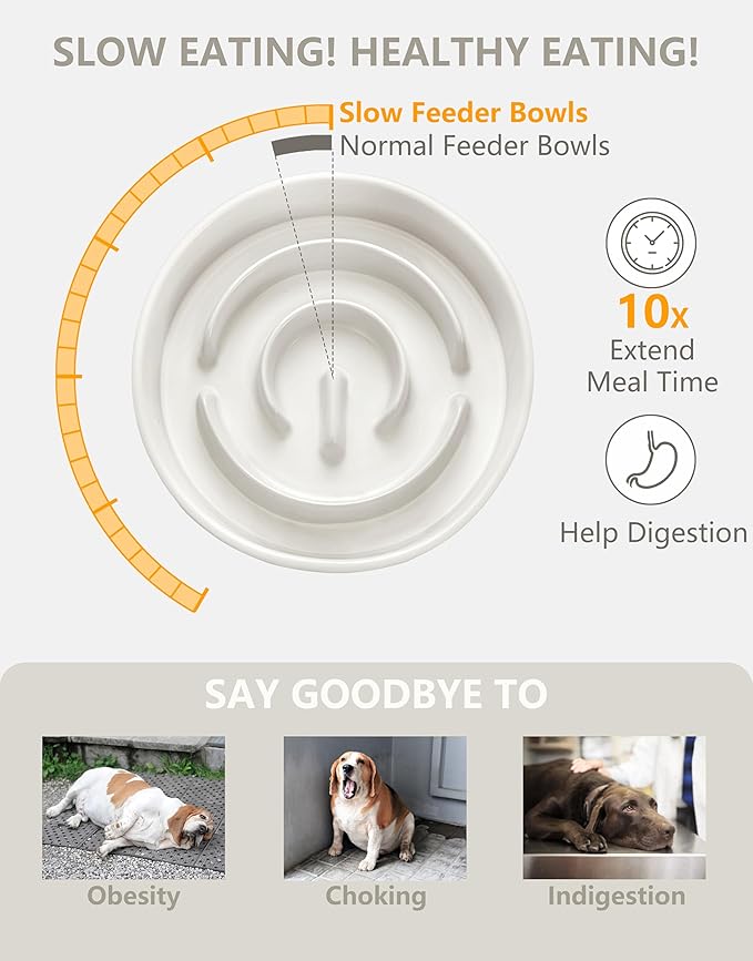 Ceramic Slow Feeder Dog Bowls, 0.6 Cup Slow Feeder for Small Dogs, Puzzle Maze Bowl, Prevents Choking, 6in, White