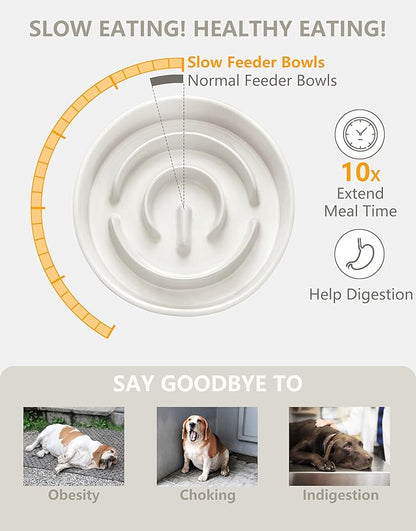 Ceramic Slow Feeder Dog Bowls, 0.6 Cup Slow Feeder for Small Dogs, Puzzle Maze Bowl, Prevents Choking, 6in, White