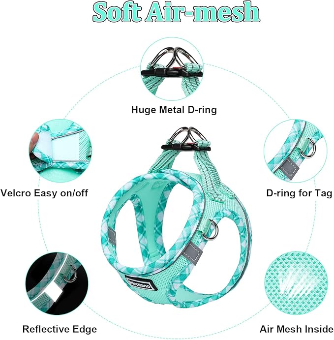 Mercano Soft Mesh Dog Harness and Leash Set, No-Chock Step-in Reflective Breathable Lightweight Easy Walk Vest Harnesses with Safety Buckle for Small Dogs, Cats (Light Green, XS)