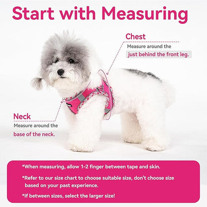 Petank Dog Harness for Small Medium Dogs No Pull, Puppy Harness and Leash Set for Walking, Running, Training, Small Dog Harness, Medium Dog Harness (Rose Red, XXS)