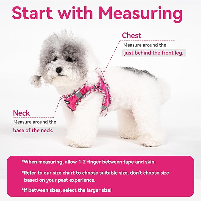 Petank Dog Harness for Small Medium Dogs No Pull, Puppy Harness and Leash Set for Walking, Running, Training, Small Dog Harness, Medium Dog Harness (Rose Red, L)
