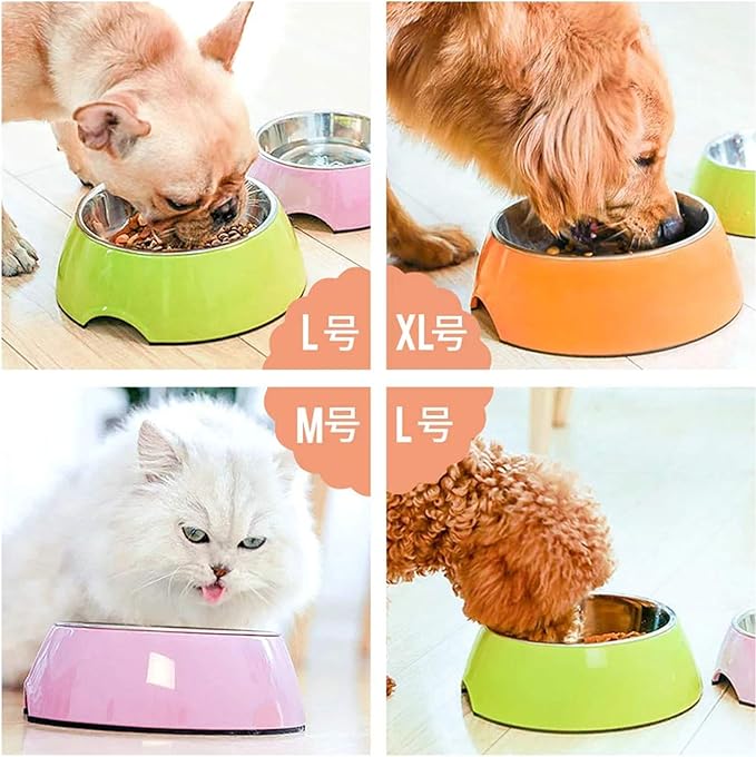 Pet Bowls Stainless Steel Dog Cat Pet Bowl Universal Pet Water and Food Bowls 4 Sizes and 5 Colors Available (M, Orange)