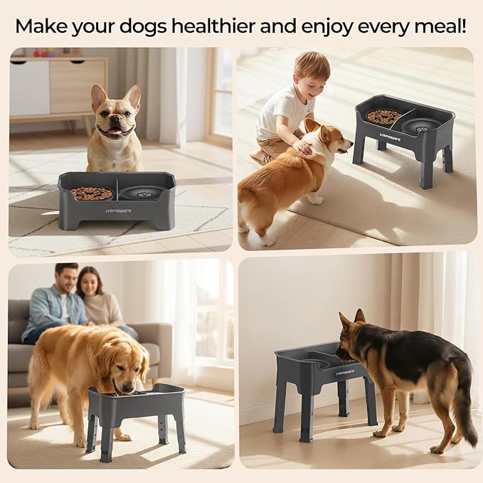 URPOWER Mess Proof Elevated Dog Bowls 4 Height Adjustable Raised Stand with No Spill Water Bowl and Slow Feeder Dog Bowls Non-Slip Food and Water Bowl Set for Small, Medium & Large Dogs