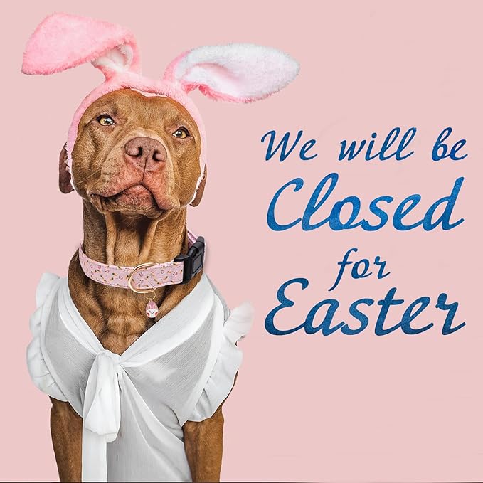 Faygarsle Cute Easter Collar for Small Medium Large Dogs Girl Boy Female Male Dog Pink Cotton with Adorable Rabbit Print Puppy Collar with Easter Egg Charm M