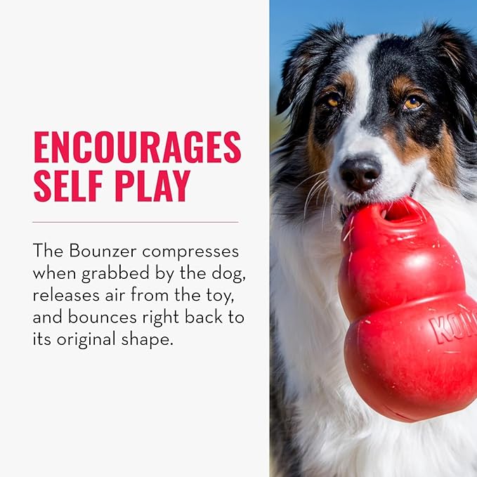 KONG - Bounzer X-Large
