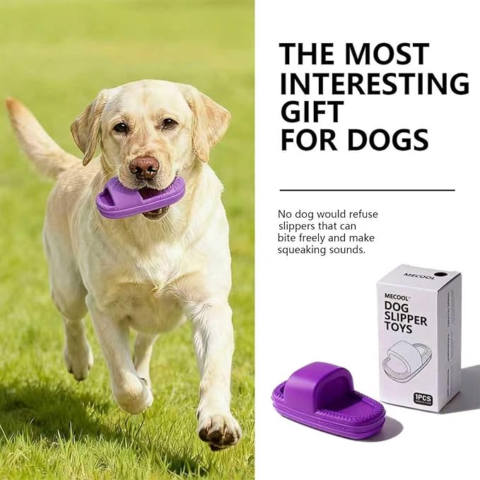 MECOOL Dog Toy Unbreakable Slippers Squeaky Dog Toys for Teehing Chewing Size for Medium and Samll Breeds(Purple)