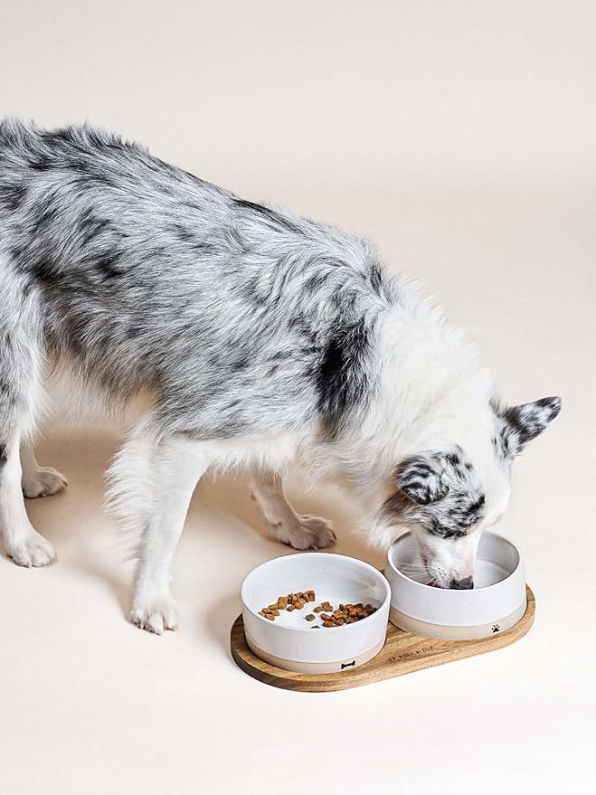 LE TAUCI PET Ceramic Dog Bowls for Medium Small Dogs - 3.2 Cup Medium Dog Food and Water Bowls with Acacia Wood Tray, Dual Food and Water Bowls with Weighted Non-Slip Base