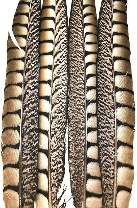 Pheasant Tail Feather Mix (16-18" per 16 Feathers)