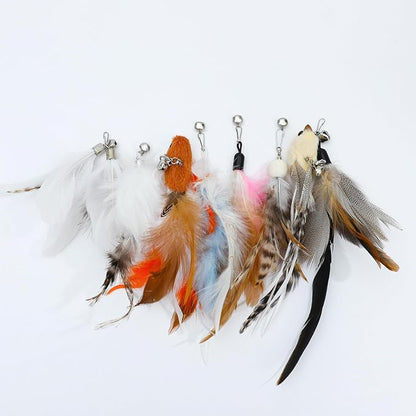 8 Pieces Cat Feather Toys Replacement Bird Insect Cat Toy Wand Refills Cats Toy Replacement Natural Bird Feathers for Cats Toys