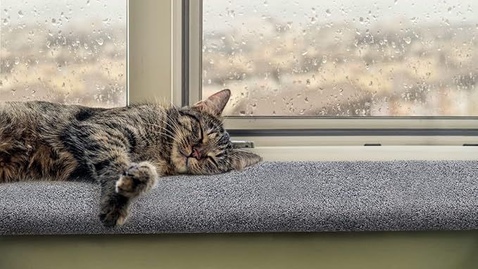 Purrched Cat Window Perch (24 Inch)