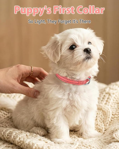 Joytale Puppy Collar, Feather-Light Double-Sided Reflective Nylon Collar for Night Safety, Adjustable Quick-Release for Extra Small Dogs, Pink, XS (3/8" Width)
