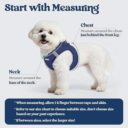rabbitgoo Dog Harness Small Sized and Leash Set, Step in Soft Light Puppy Vest, Breathable Mesh Pet Harness, Reflective for Safe Outdoor Walking, Navy Blue XS