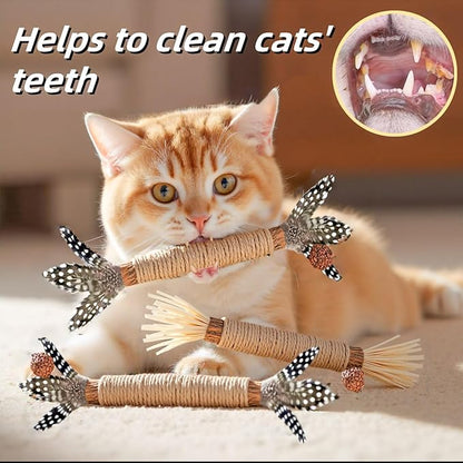 Cat Toys 12Pack Silvervine Chew Stick 12Pack Kitten Treat Catnip Toy Kitty Natural Stuff Catnip Matatabi for Cleaning Teeth Indoor Dental Snack Interactive