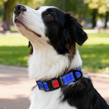 Taglory Reflective Dog Collar with Safety Locking Buckle, Soft Neoprene Padded Dog Collar for Medium Dogs, Metal D-Ring, Adjustable Nylon Neck Strap for Daily Walking, Training & Running, Navy Blue, M