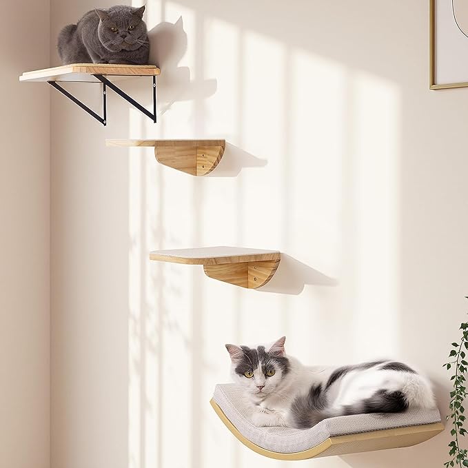 Cat Wall Shelves and Cats Window Perch – Natural Wood 4-Piece Set with Foam-Padded Curved Bed and Felt Steps, Space-Saving Wall Mounted Design