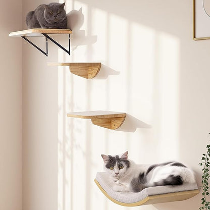 Cat Wall Shelves and Cats Window Perch – Natural Wood 4-Piece Set with Foam-Padded Curved Bed and Felt Steps, Space-Saving Wall Mounted Design