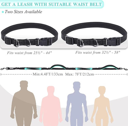 VIVAGLORY Hands Free Dog Leash Bungeetwin Running Dog Leash with Waist Belt for Running Walking & Jogging, Bungee & Around Waist for Pet, M, Black/Turquoise