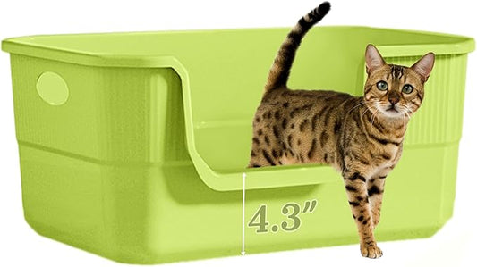 Low Entry Litter Box for Kittens & Senior Cat, High Sided Kitty Litter Boxes with Handle, Anti-Splash Plastic Large Litter Tray Pan for Big Cats, Easy to Clean, 19.6" L*13.7" W*8.6" H (Green)