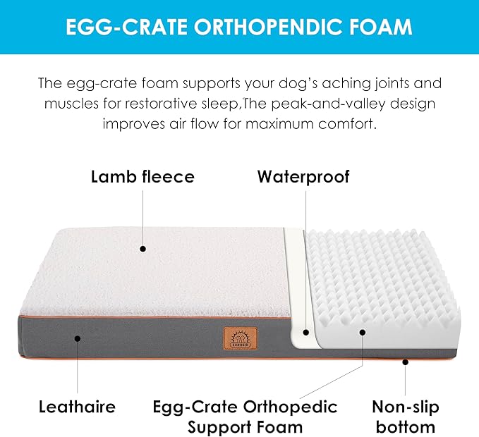 Orthopedic Dog Bed for Large Dogs and Extra Large Dogs, XL Dog Bed with Removable Waterproof Cover and Machine Washable Pet Mat, Egg-Crate Foam, L-Plus(36"X27"X3"), Light Grey