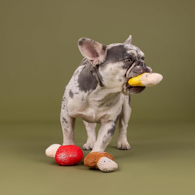 Fringe Studio Plush Dog Toy, 3 Pieces Set, SHROOMING, Pet Shop Collection (662176)