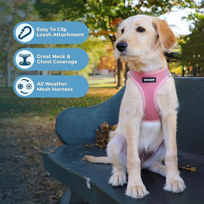 Best Pet Supplies Voyager Step-in Air Harness - All Weather Mesh, Reflective, No Pull Harness for Dogs, Cats - Secure with Hook & Loop Fastener, Buckle, Double D-Rings - Pink, XXS