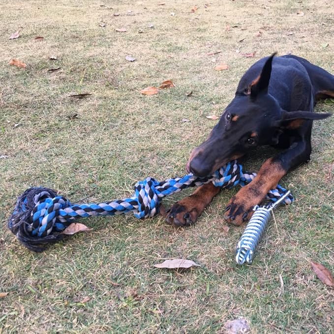 SIXRUN Spring Pole Dog Rope Toy, Rust Proof Steel, Muscle Building, Outdoor Tug of War Exercise, 38.97 Inch, for Large Dogs