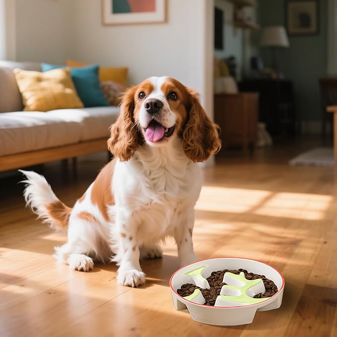 Ceramic Slow Feeder Dog Bowl - Portion Control Feeding Bowl for Medium Dogs – Cute Maze Food Dish for Fast Eaters - 3.1 Cups (310 g) - Doodle Series (Petal)