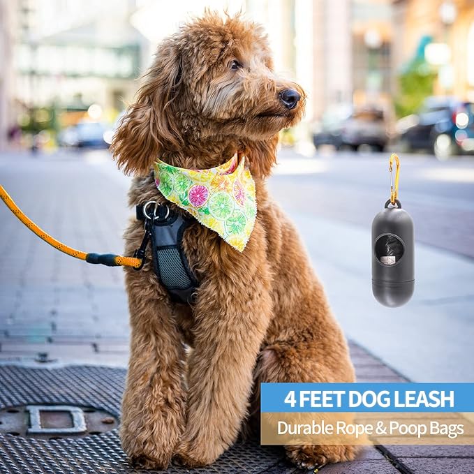 BAAPET 2/4/5/6 FT Dog Leash with Comfortable Padded Handle and Highly Reflective Threads for Small Medium and Large Dogs (4FT-1/2'', Orange)