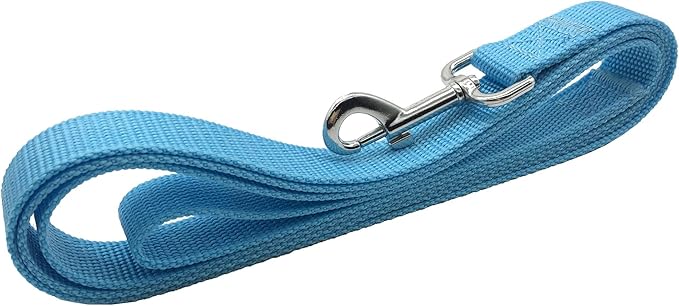 TAIAN 4 FT Strong Dog Leash, Nylon Dog Leashes for Small Medium Large Dogs Blue