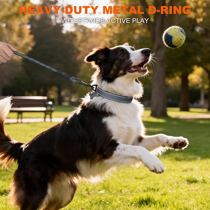 Taglory Reflective Dog Collar with Safety Locking Buckle, Soft Neoprene Padded Dog Collar for Medium Dogs, Metal D-Ring, Adjustable Nylon Neck Strap for Daily Walking, Training & Running, Grey, M