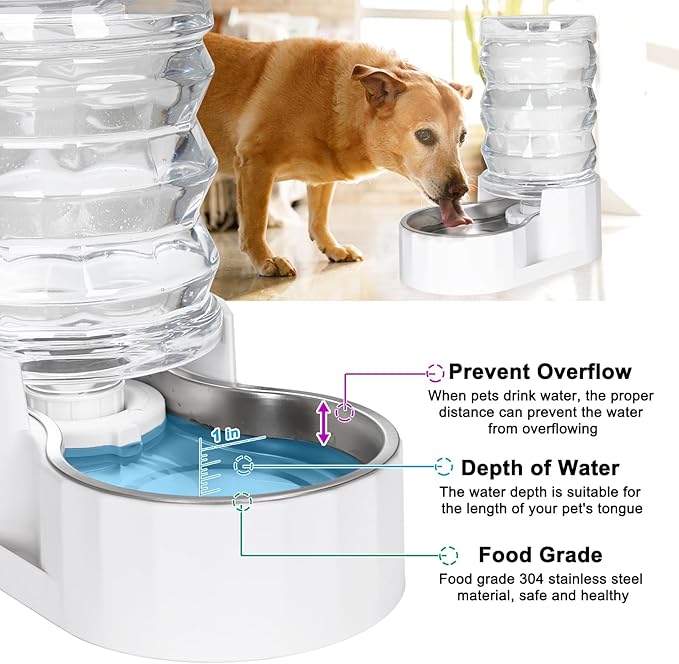 RIZZARI Automatic Gravity Pet Dispenser: Helps Prevent Urinary Stones - an Activated Carbon Ion Exchange System - Removes Odors - Softens Water -6.5L Large Capacity Stainless Steel - Living Room