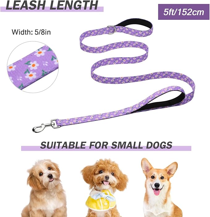 Hikiko Cute Girl Double Handle Dog Leash 5 Foot Padded Traffic Handles for Walking Training (Purple Floral, 5ft)