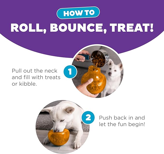 Outward Hound by Planet Dog Snoop Dog Toy – Treat‑Dispenser Puzzle Ball, Interactive Slow Feeder, Medium to Large Dogs, Bouncy & Mint-Infused, Orange, 5"