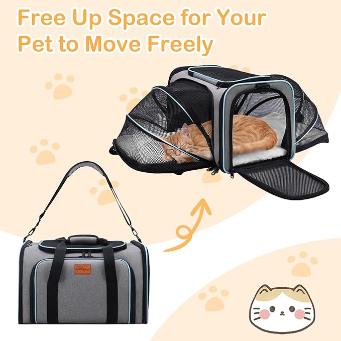 Expandable Airline Approved Pet Carrier, Soft-Sided Travel Bag for Small Cats Dogs with Hard Shell Base, Removable Fleece Pad, Ventilated Mesh, Gray (Blue Trim)