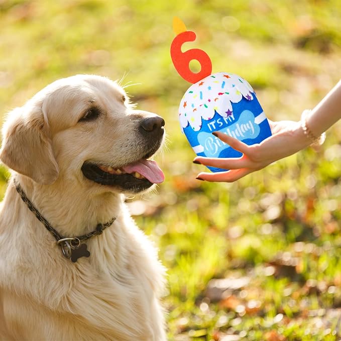 Dog Birthday Cake Toy Accessories for Girl Boy Gifts, Squeaky Plush Toy for Dog Birthday Party Decor Favor for Large, Medium and Small Dogs(6th,Blue)