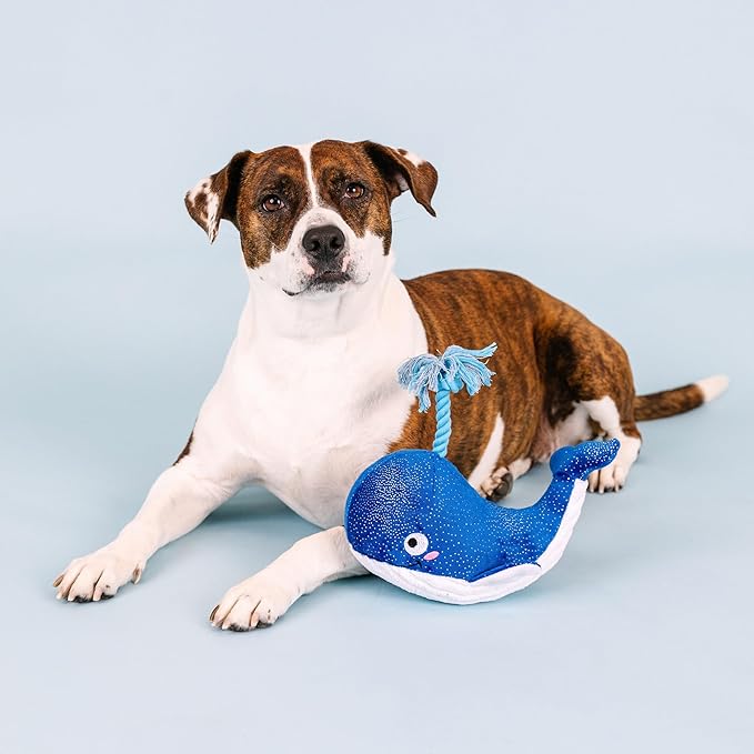 Fringe Studio Plush Dog Toy, Whale, Hello There, Pet Shop Collection (314283)