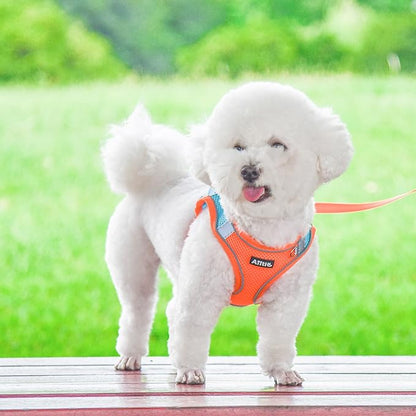 AIITLE Small Harness for Puppy with A Leash - Dog Vest Harness with Super Breathable Mesh, Reflective No-Pull Pet Harness for Outdoor Walking, Running for Small Dogs, Cats Orange XXS