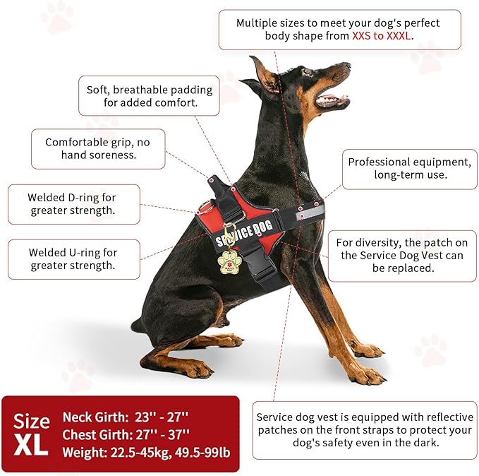 Service Dog Vest, ID Tag + 50 ADA Information Cards, Service Dog Harness in Sizes X Small to XX Large, Ruggedized Metal Tag, 2-Sided Service Animal Information Cards, ESA Accessory Set X-Large
