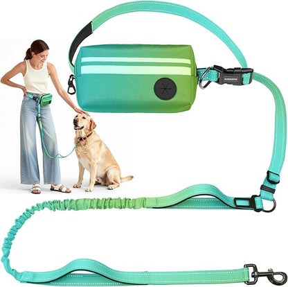 Hands Free Dog Leash with Removable Zipper Pouch, Dual Padded Handles and Durable Bungee for Walking, Jogging and Running-Your Dog (Large, 35-140 lbs-Cyan