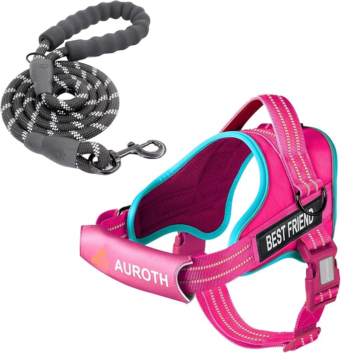 AUROTH Dog Harness and Leash Set, Soft Padded Service Dog Vest with 5.25FT Dog Leash, No Choke, Easy On Pet Vest, Adjustable Reflective No Pull Dog Harness Small Sized Dog, Easy Walking and Training