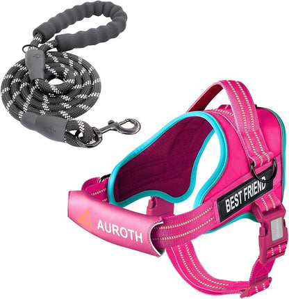 AUROTH Dog Harness and Leash Set, Soft Padded Service Dog Vest with 5.25FT Dog Leash, No Choke, Easy On Pet Vest, Adjustable Reflective No Pull Dog Harness Small Sized Dog, Easy Walking and Training