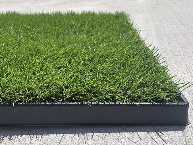DoggieLawn XL - Real Grass Disposable Pet Potty - 48 x 24 Inches with Plastic Tray - Potty Training Pad for Dogs