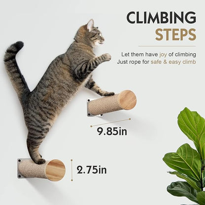 Wall-Mounted Cat Hammock & Shelves Set with 2 Steps - Premium Cat-Wall Furniture for Indoor Cats, Climbing, Lounging - Durable Multi-Level Perch for Large Cats (Brown)